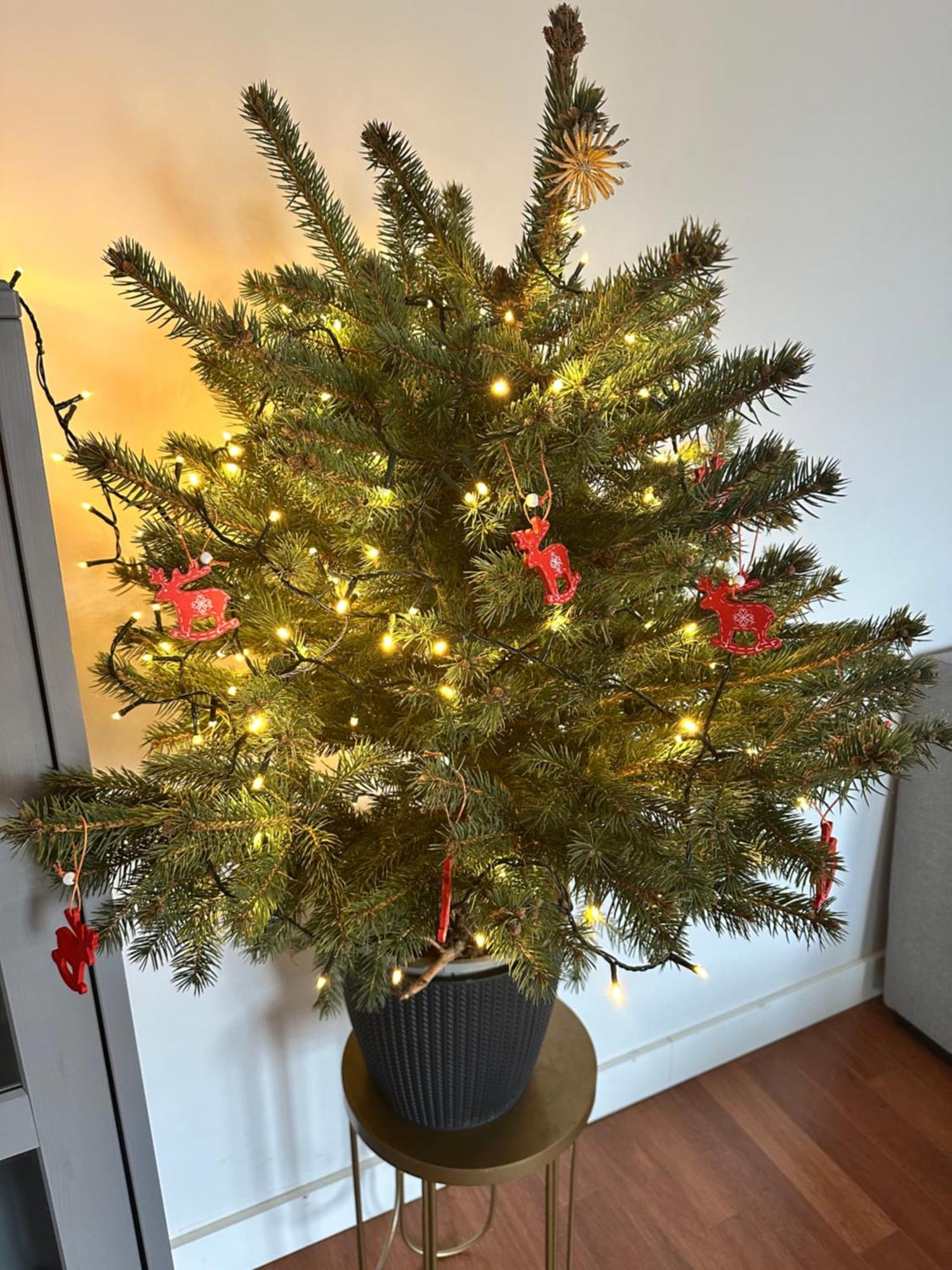 Apartament Сопот Екстер'єр фото